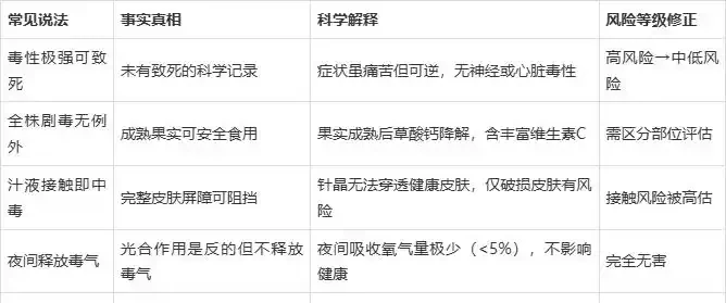 龜背芋的毒性真相:安全養護與中毒風險全解析