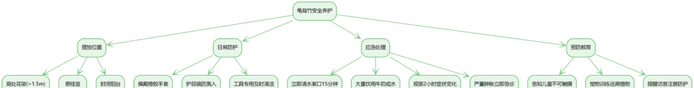 龜背芋的毒性真相:安全養護與中毒風險全解析