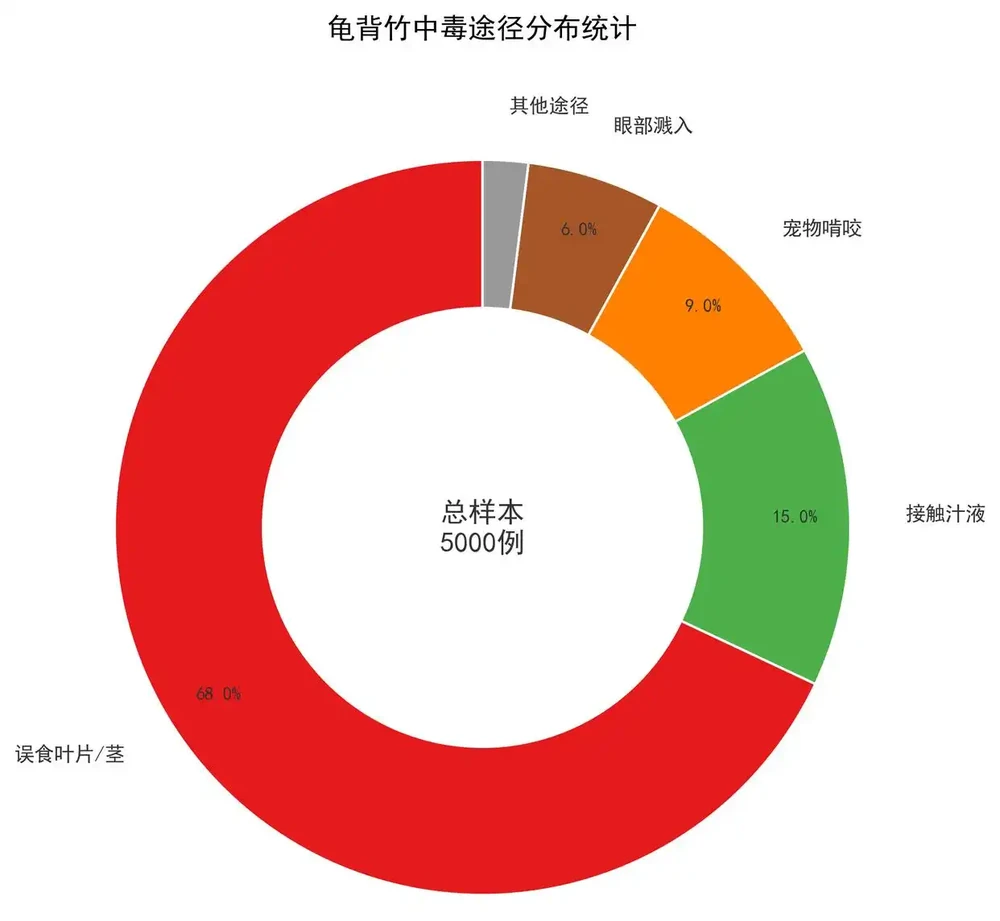 龜背芋的毒性真相:安全養護與中毒風險全解析