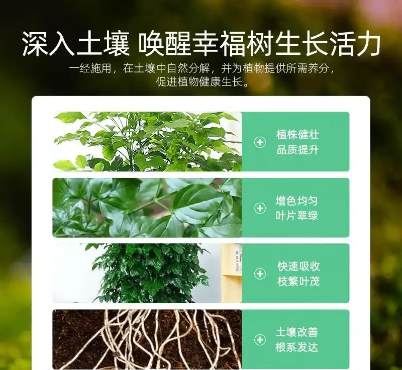 幸福樹奄奄一息?別慌!專業肥料是拯救綠植的秘密武器,讓你的幸福樹迅速重煥生機,開啟蓬勃生長之旅