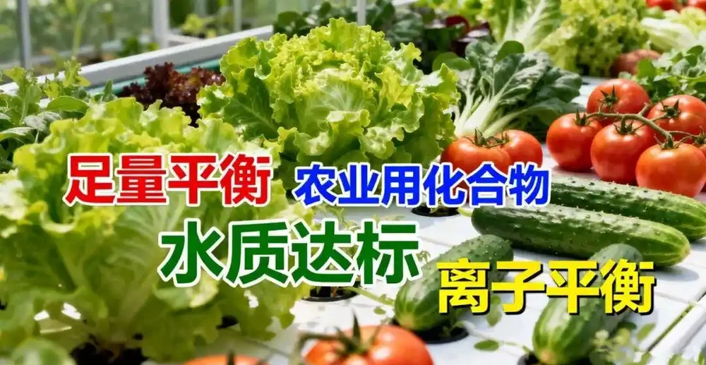 無土栽培第一步：手把手教你配製「完美營養液」，核心就這幾點