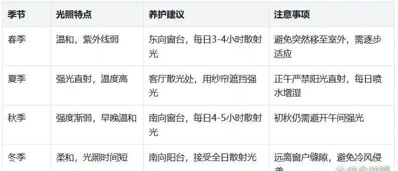 發財樹葉子總捲曲?3點來改善,葉片舒展,長勢更旺盛!