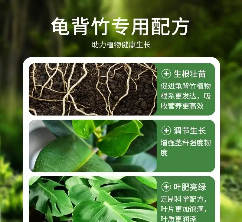 想讓龜背芋重煥生機?這三款營養液堪稱綠植救星,用了之後葉片翠綠、長勢旺盛,讓你的龜背芋秒變「巨型白鶴芋」