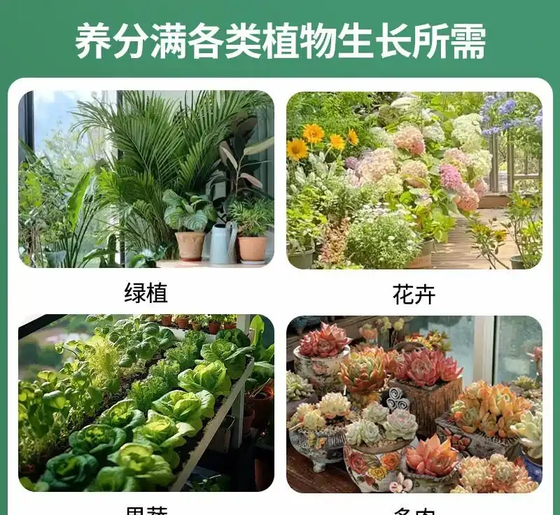 擔心發財樹枯萎?別愁!專業營養液是綠植救星,能讓奄奄一息的發財樹迅速重煥生機,讓你的財富綠植活力滿滿