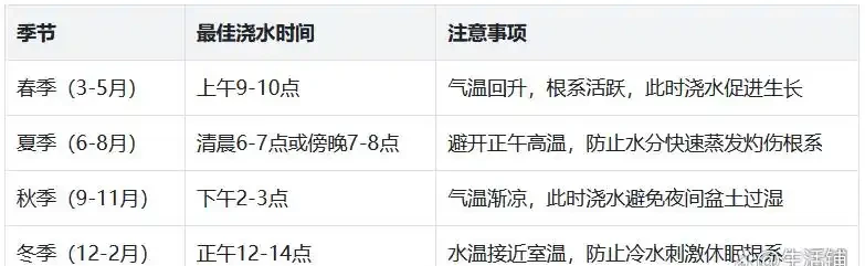 發財樹怎麼澆水不腐根?做對這4點,枝繁葉茂蹭蹭長!