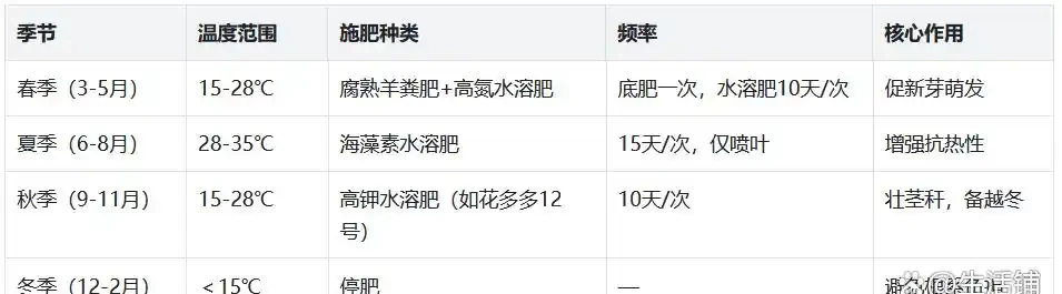 雪鐵芋缺肥?這3個訊號別錯過,用對肥,葉片油亮長勢猛!