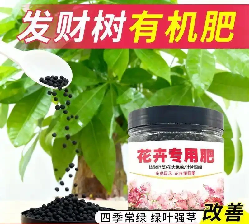 發財樹黃葉腐根愁壞你？別慌！這些神奇營養液能讓綠植快速擺脫困境，重煥生機，讓你的發財樹再次枝繁葉茂
