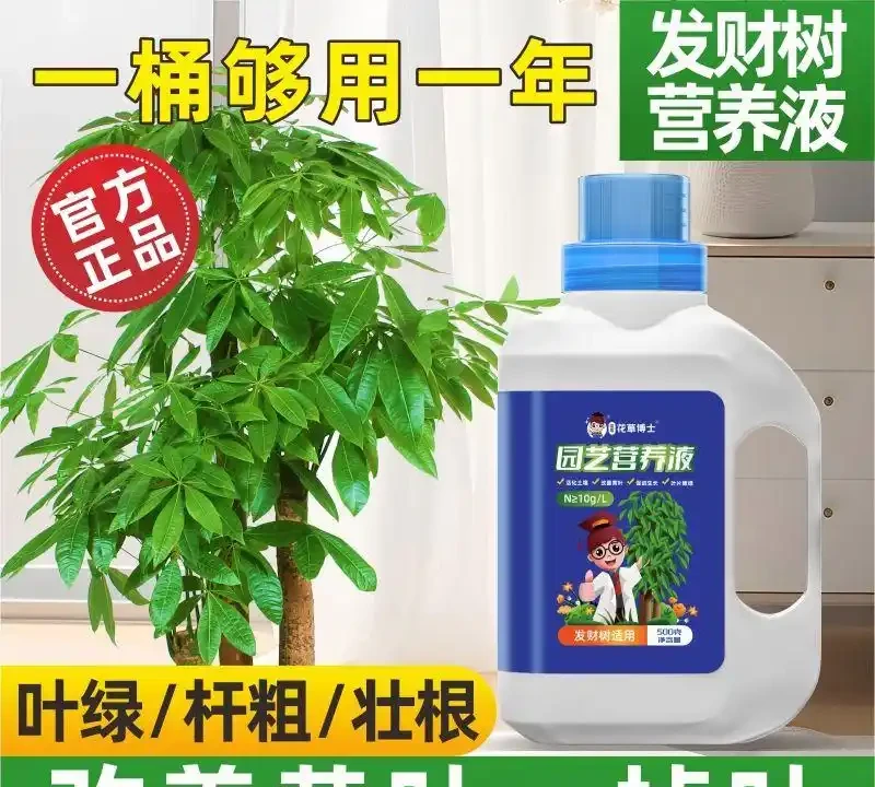 發財樹黃葉腐根愁壞你？別慌！這些神奇營養液能讓綠植快速擺脫困境，重煥生機，讓你的發財樹再次枝繁葉茂
