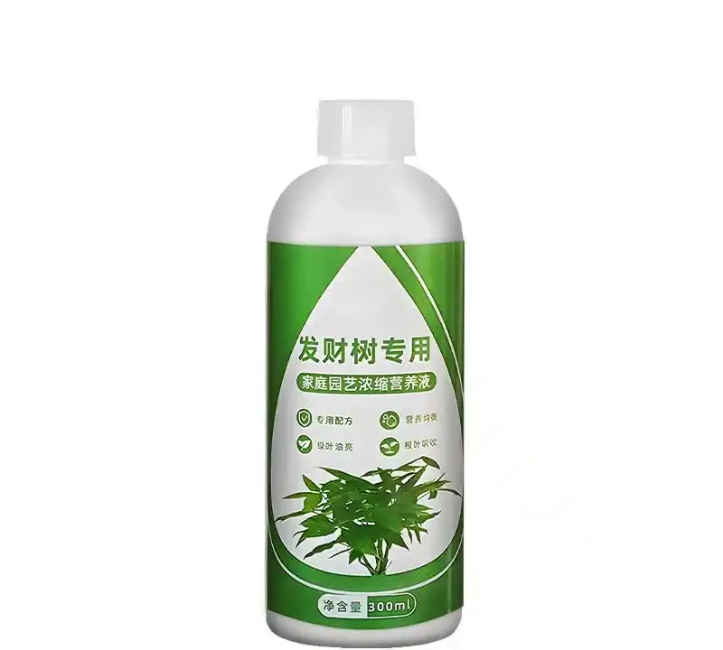 發財樹黃葉腐根愁壞你？別慌！這些神奇營養液能讓綠植快速擺脫困境，重煥生機，讓你的發財樹再次枝繁葉茂