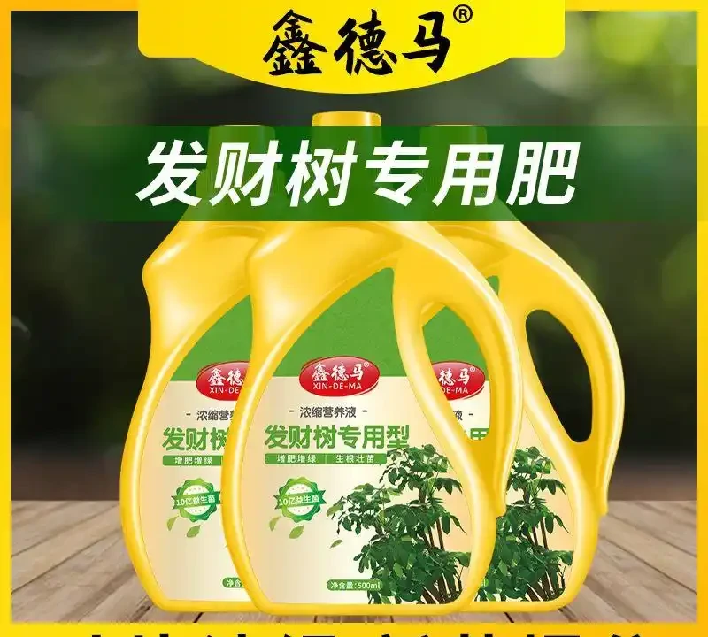 發財樹黃葉腐根愁壞你？別慌！這些神奇營養液能讓綠植快速擺脫困境，重煥生機，讓你的發財樹再次枝繁葉茂