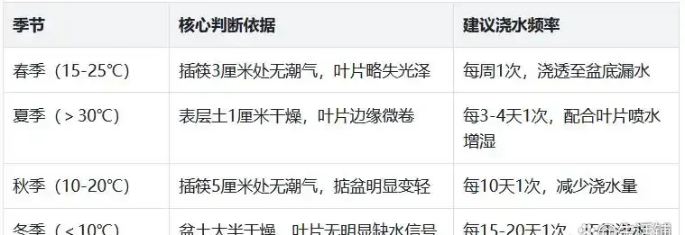養龜背芋別亂澆水!3招防黃葉,新芽蹭蹭冒