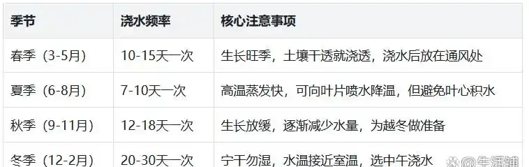 養發財樹最怕腐根？澆水記住「3坑」，葉片油綠冒新枝！