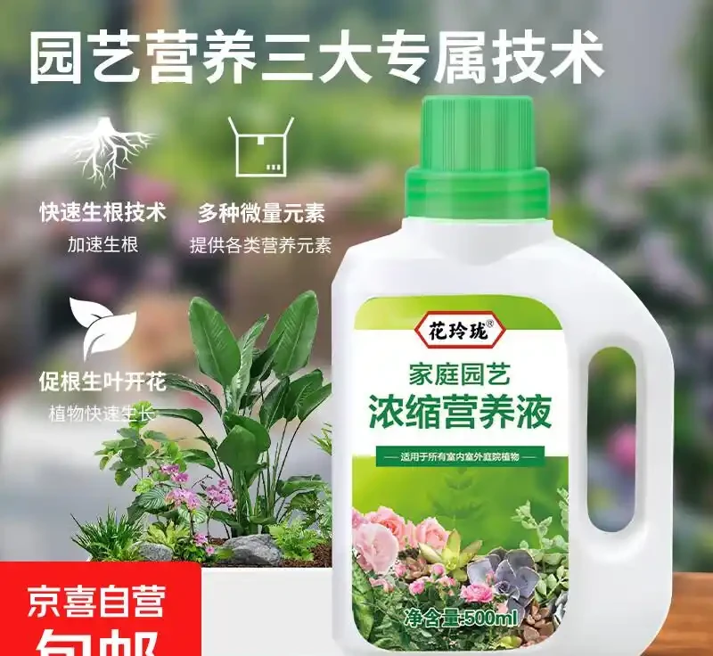 發財樹總是養不活？專業營養液或是拯救它的秘密武器！深度評測告訴你它為何能讓發財樹重煥生機