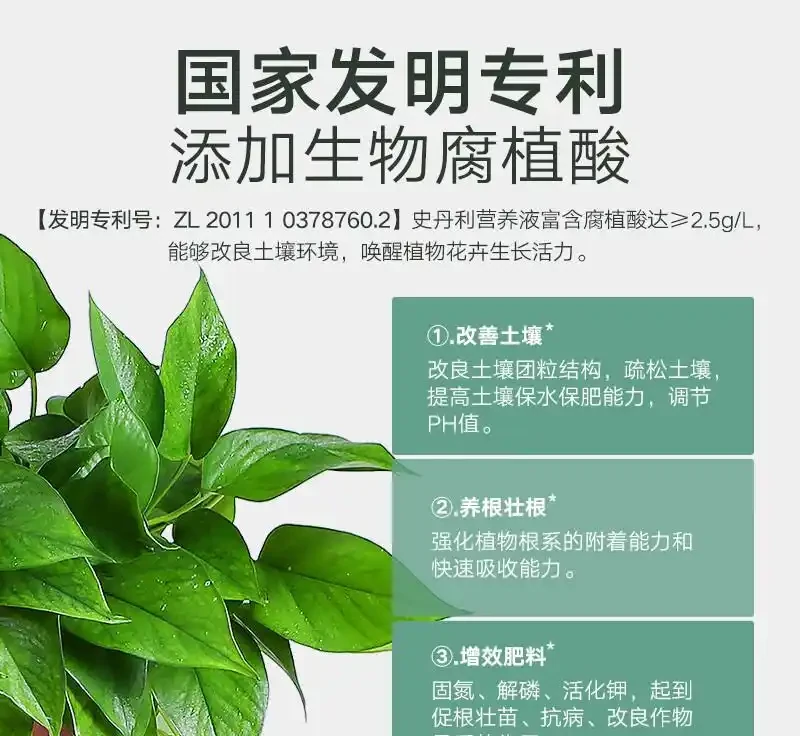 發財樹總是養不活？專業營養液或是拯救它的秘密武器！深度評測告訴你它為何能讓發財樹重煥生機