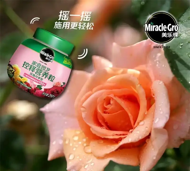 想讓玫瑰玫瑰綻放如初？這些肥料選擇大有門道，掌握養護秘籍，輕鬆打造繁花似錦的花園景觀