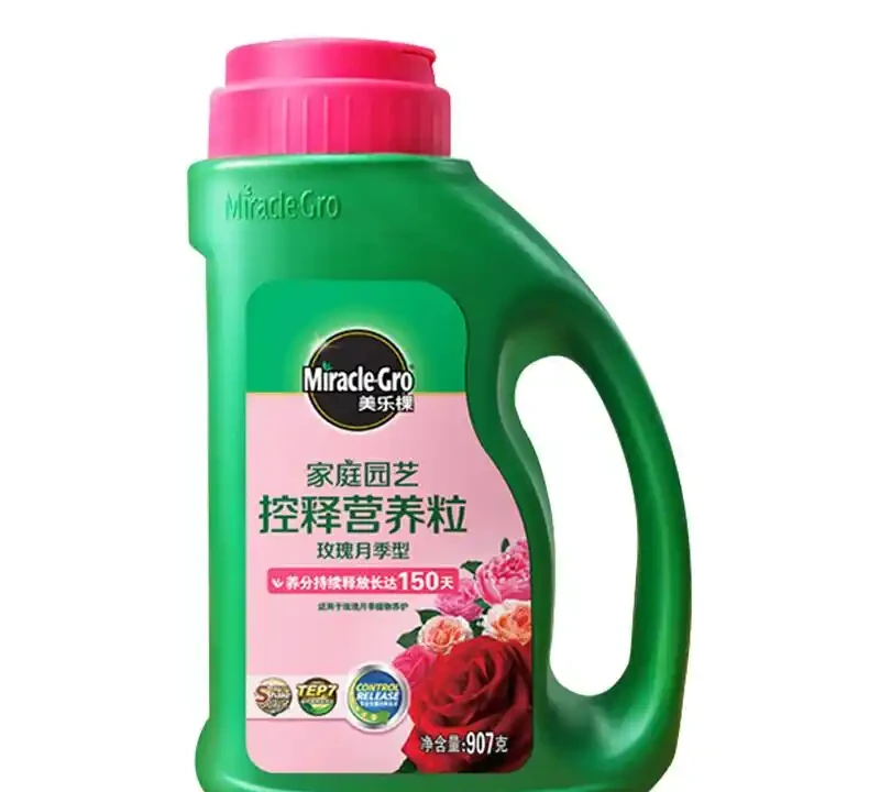 想讓玫瑰玫瑰綻放如初？這些肥料選擇大有門道，掌握養護秘籍，輕鬆打造繁花似錦的花園景觀
