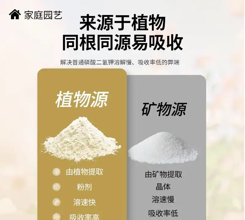 想讓玫瑰玫瑰綻放如初？這些肥料選擇大有門道，掌握養護秘籍，輕鬆打造繁花似錦的花園景觀