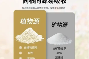想讓玫瑰玫瑰綻放如初？這些肥料選擇大有門道，掌握養護秘籍，輕鬆打造繁花似錦的花園景觀
