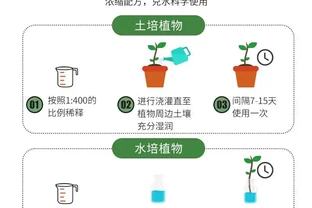 想讓龜背芋重煥綠意生機？這三款營養液堪稱養護必備神器，用了之後葉片油綠繁茂，讓你的龜背芋輕鬆逆襲