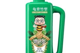龜背芋養護必備：三款營養液讓你的綠植重煥生機