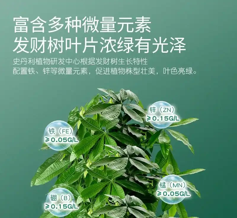 發財樹黃葉問題愁壞你？別慌！這三款神奇營養液，能讓瀕臨枯萎的綠植快速重煥生機，效果堪稱植物界救星
