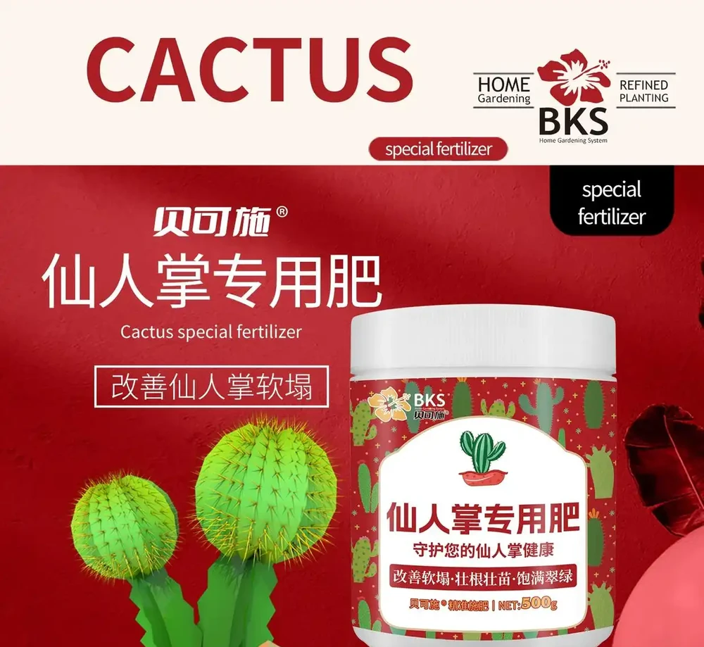 仙人掌奄奄一息別發愁!這些專用肥料堪稱綠植救星,用了讓你的仙人掌快速重煥生機,狀態越來越好