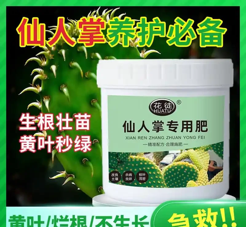 仙人掌奄奄一息別發愁!這些專用肥料堪稱綠植救星,用了讓你的仙人掌快速重煥生機,狀態越來越好