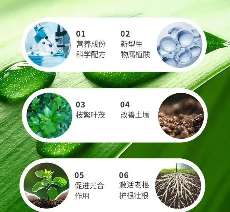 仙人掌奄奄一息別發愁!這些專用肥料堪稱綠植救星,用了讓你的仙人掌快速重煥生機,狀態越來越好
