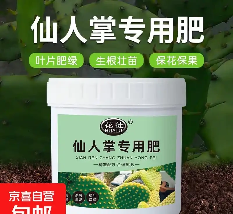 仙人掌奄奄一息別發愁!這些專用肥料堪稱綠植救星,用了讓你的仙人掌快速重煥生機,狀態越來越好