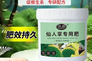 仙人掌奄奄一息別發愁！這些專用肥料堪稱綠植救星，用了讓你的仙人掌快速重煥生機，狀態越來越好
