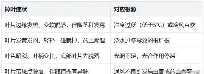 鴨腳木冬天掉葉怎麼救?4招救回,15天冒新葉超省心