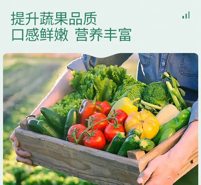 家庭園藝缺好肥?這四款氮磷鉀複合肥料堪稱植物救星,用過的都說好,能讓你的植物迅速重煥生機