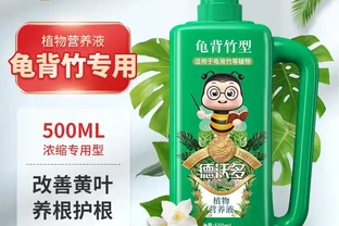 想讓龜背芋重煥生機？這三款營養液堪稱養護必備神器，能有效改善綠植狀態，用過的人都說好