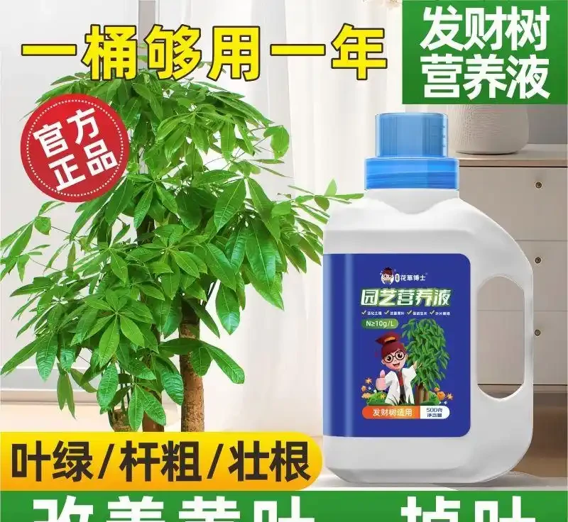 發黃發財樹快沒救了？別慌！這些專用營養液堪稱綠植「復活仙丹」，讓你的發財樹重煥生機