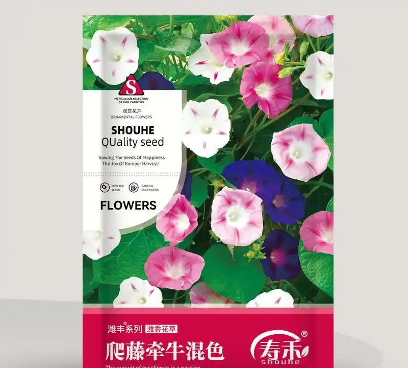 想讓庭院變身花海秘境?別再盲目選花了,這幾種爬藤花卉輕鬆幫你實現花園夢,趁年底活動快囤點!