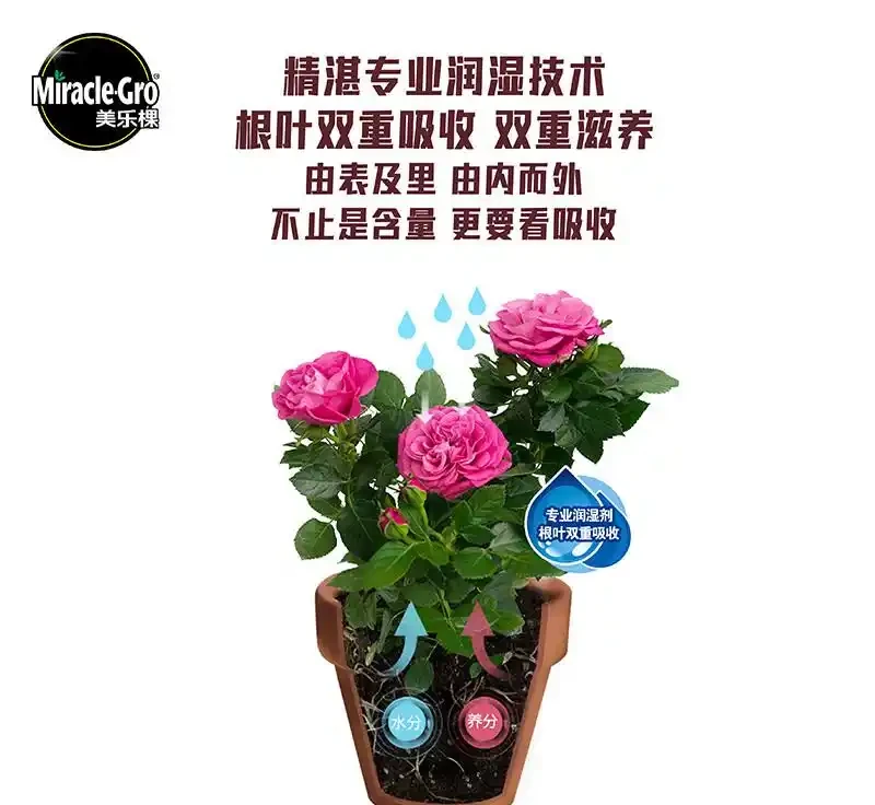 新手養花總養不活?玫瑰月季肥料這樣選,從入門到精通的養護全攻略,助你變身養花高手!