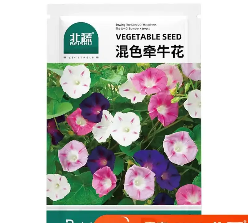 想讓庭院秒變仙境?這些爬藤花種堪稱打造夢幻花牆的秘密武器,掌握它們,輕鬆擁有童話般的絕美庭院