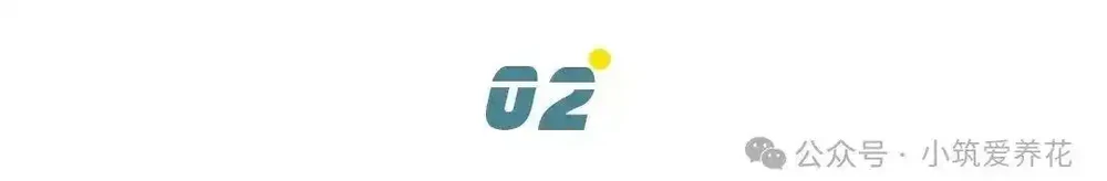 「發財樹開花了,女子拍下了全過程」,網友:這財,是非發不可啊