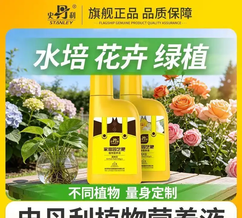 園藝達人們的秘密武器來了!這些花肥能讓你的玫瑰玫瑰綻放得如畫般絢爛,為你的花園增添令人驚豔的色彩