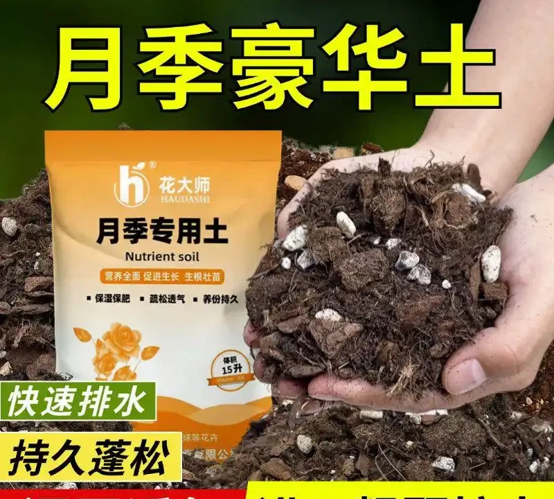 園藝達人們的秘密武器來了!這些花肥能讓你的玫瑰玫瑰綻放得如畫般絢爛,為你的花園增添令人驚豔的色彩