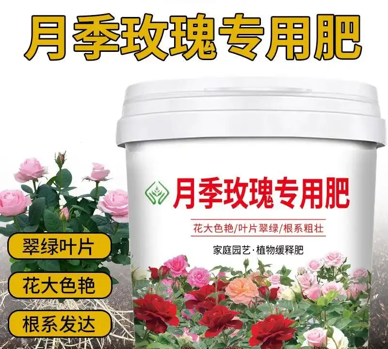 園藝達人們的秘密武器來了!這些花肥能讓你的玫瑰玫瑰綻放得如畫般絢爛,為你的花園增添令人驚豔的色彩