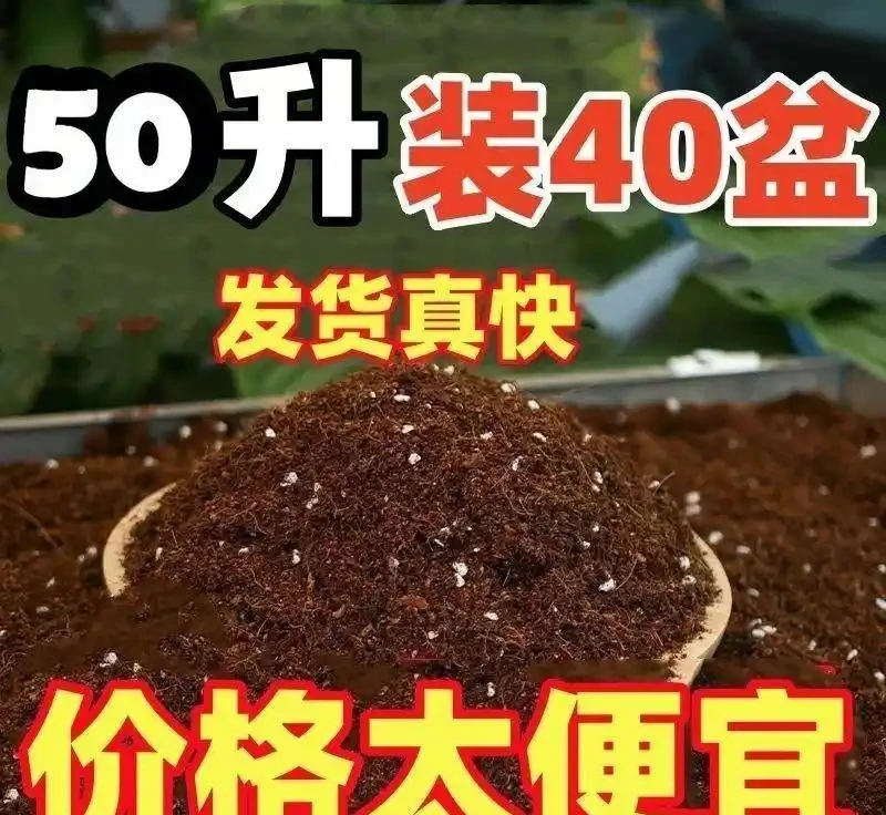 綠植養護全攻略:從土壤到肥料的一站式解決方案