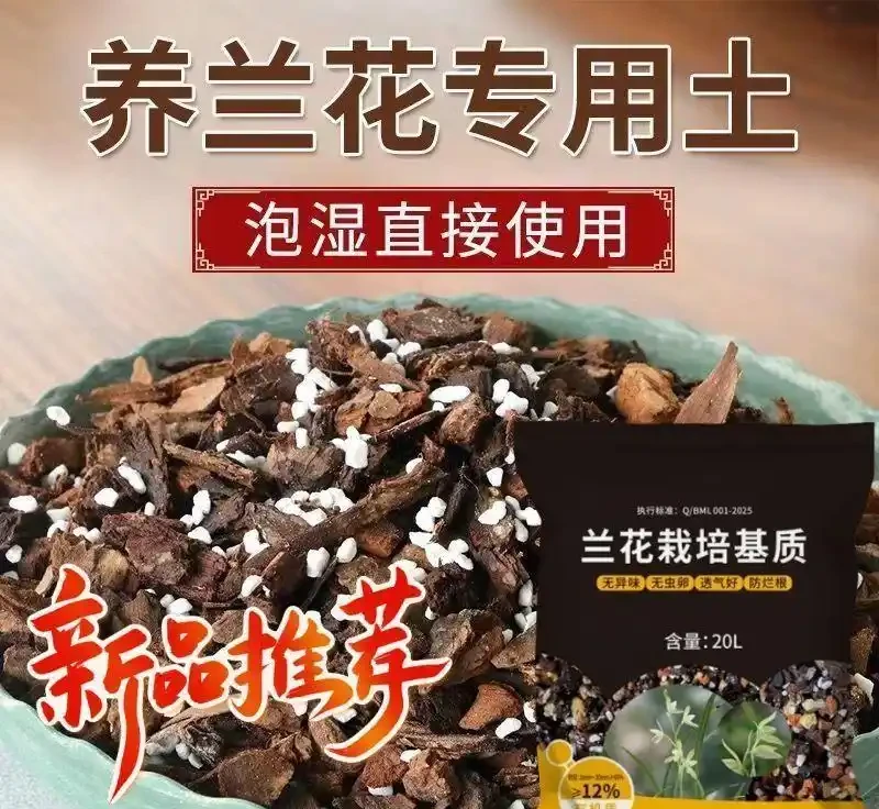 綠植養護全攻略:從土壤到肥料的一站式解決方案