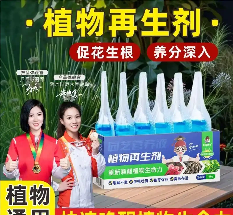 植物復壯技術大揭秘:怎樣讓枯萎植物重煥生機?掌握這些秘訣,讓你家中奄奄一息的綠植起死回生