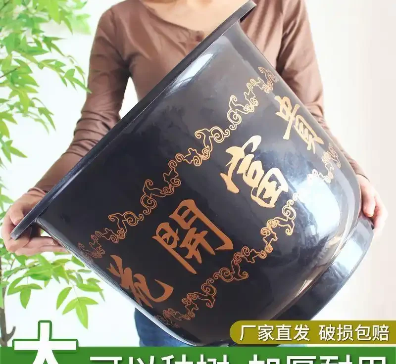 植物復壯技術大揭秘:怎樣讓枯萎植物重煥生機?掌握這些秘訣,讓你家中奄奄一息的綠植起死回生