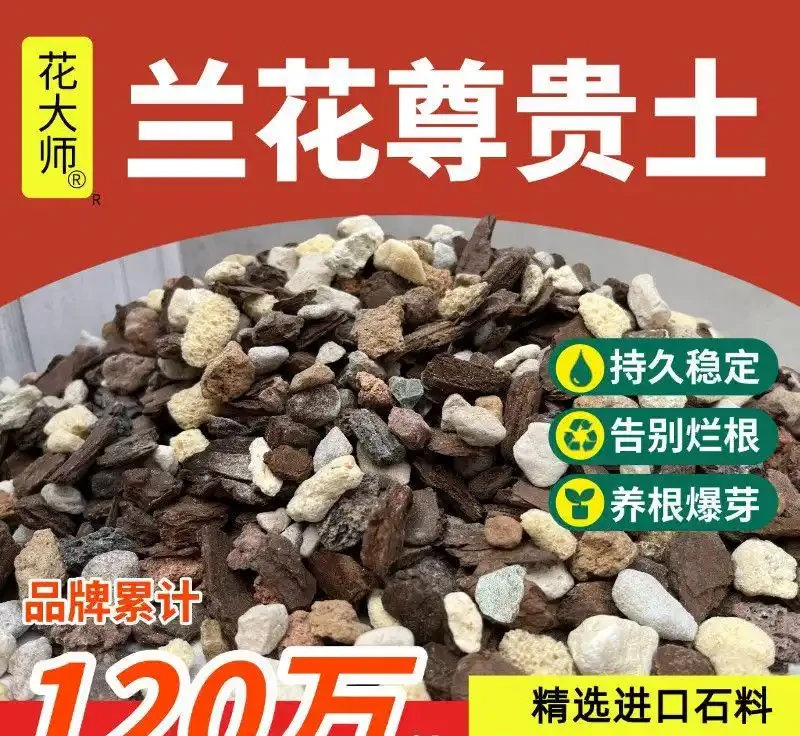 植物復壯技術大揭秘:怎樣讓枯萎植物重煥生機?掌握這些秘訣,讓你家中奄奄一息的綠植起死回生
