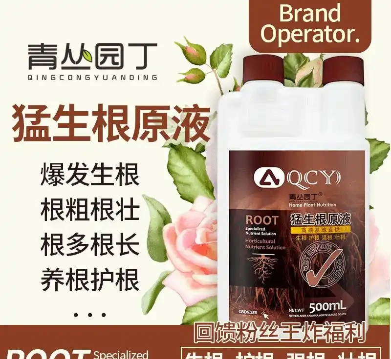 園藝減負實戰:輕量化工具打造移動植物園