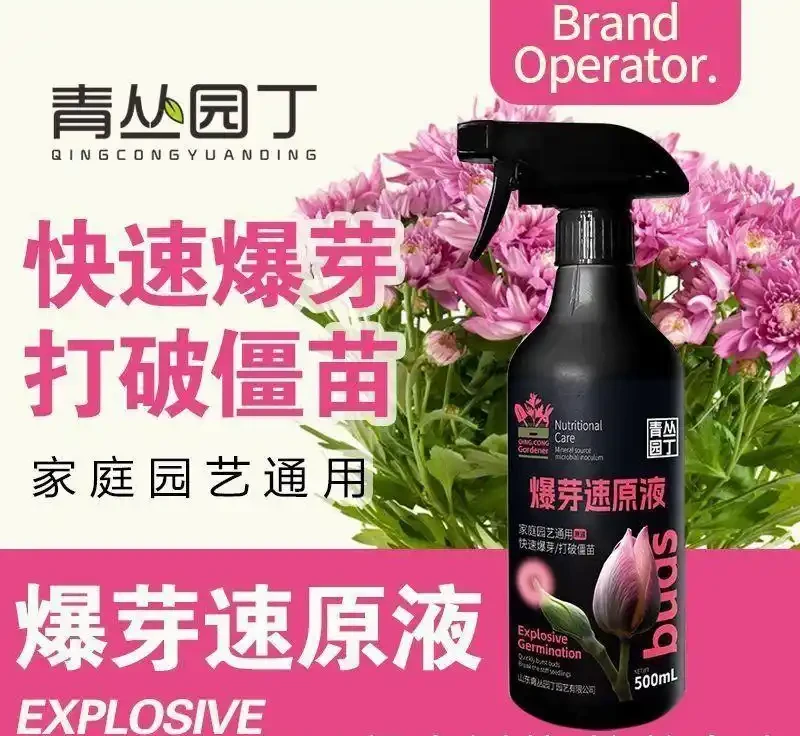 園藝減負實戰:輕量化工具打造移動植物園