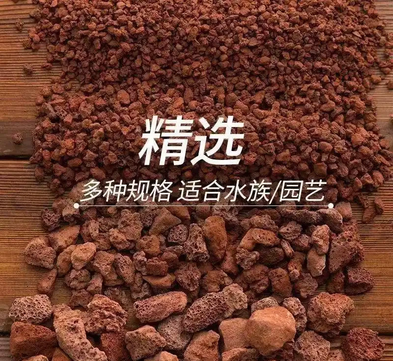 園藝減負實戰:輕量化工具打造移動植物園