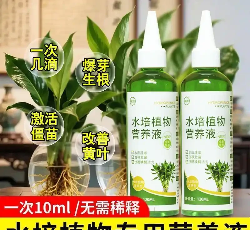 復壯技術實錄:枯萎植物重獲新生的秘密